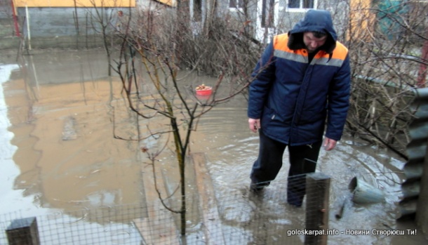 Закарпаття: Віталій Мілюков показує підтоплений город