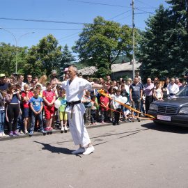 DSC00533